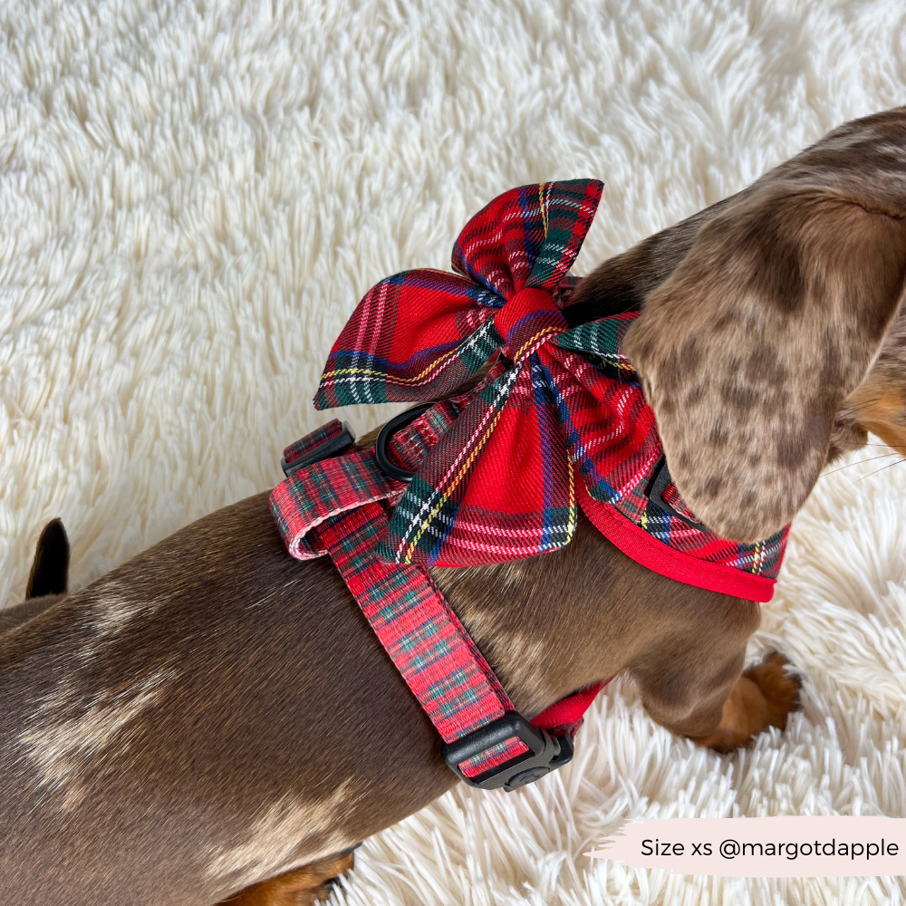 Cocopup London - Tartan Adjustable Neck HARNESS