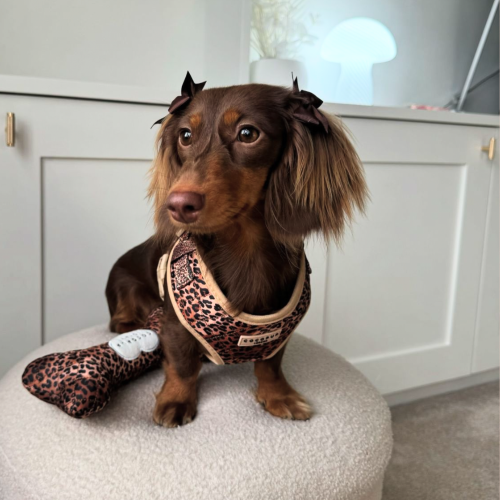 Cocopup London - Quilted Leopard Bone Toy