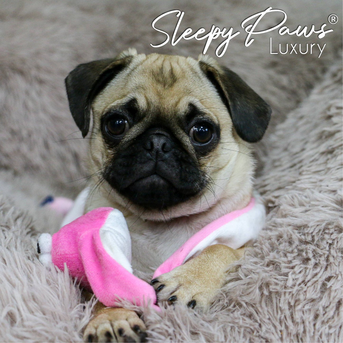 Ancol Pet Products Ltd - Super Soft Plush Donut Dog Bed Oatmeal