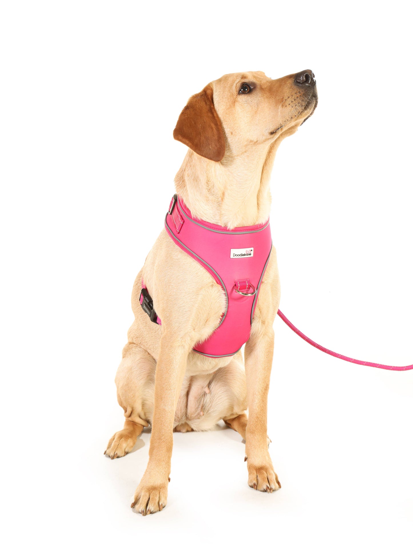 Doodlebone - Adjustable Airmesh Dog Harness