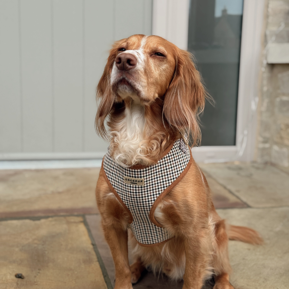Cocopup London - Heritage Check Adjustable Neck HARNESS