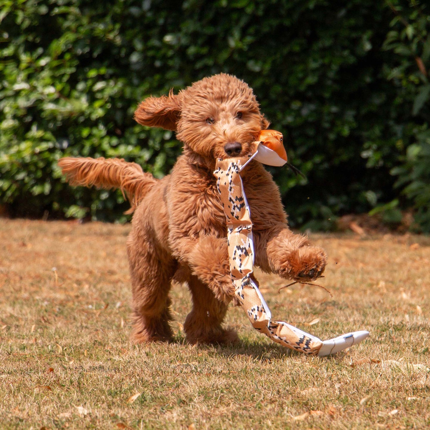 Ancol Pet Products Ltd - Playtime For Dogs Tough Durable Canvas  Super Snake