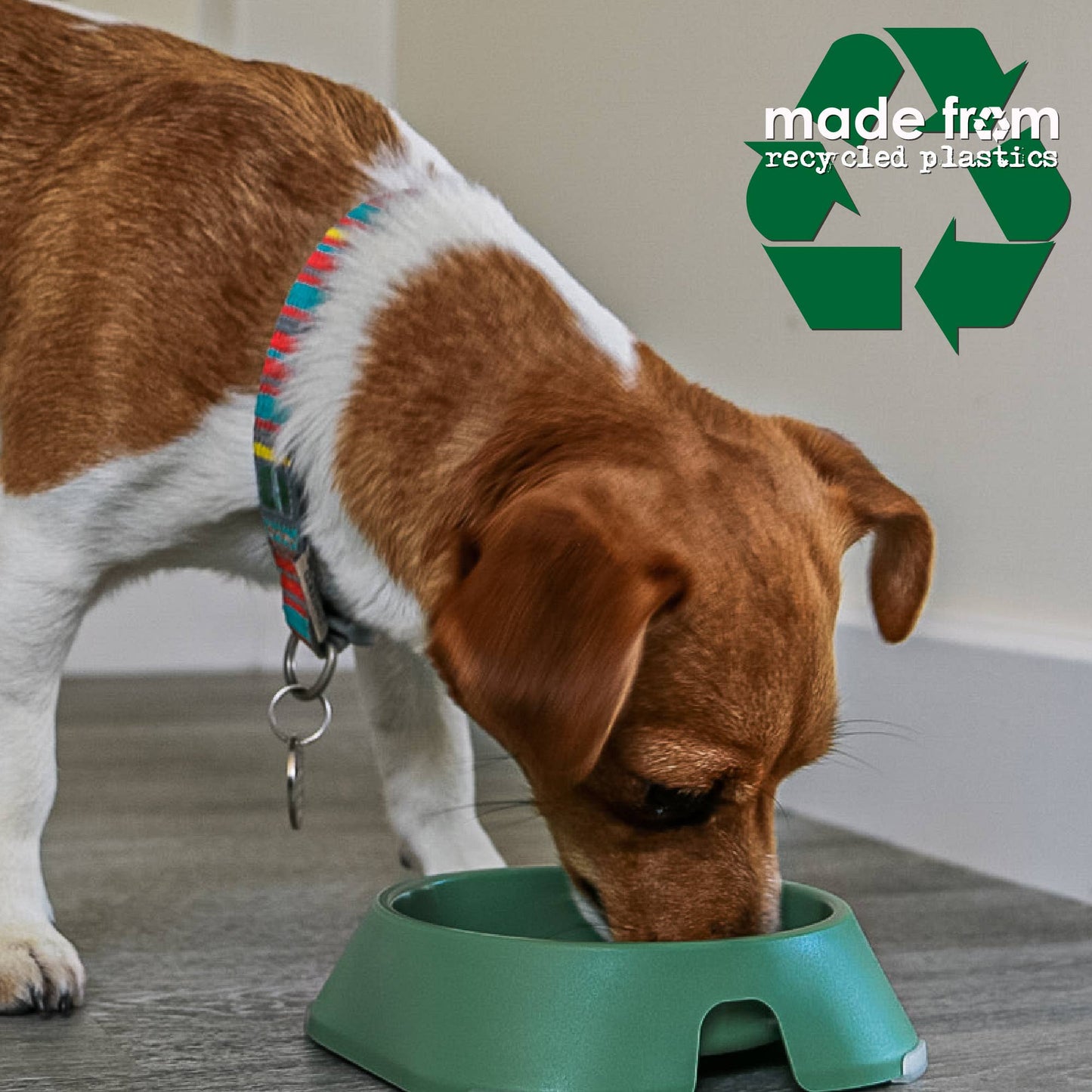 Ancol Pet Products Ltd - Large Feeding Bowl Made From Recycled Plastics- Green