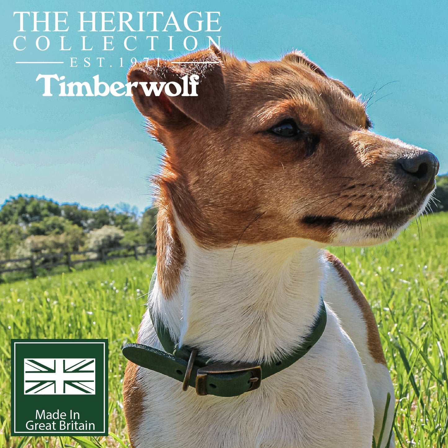 Ancol Pet Products Ltd - Timberwolf Round Collar