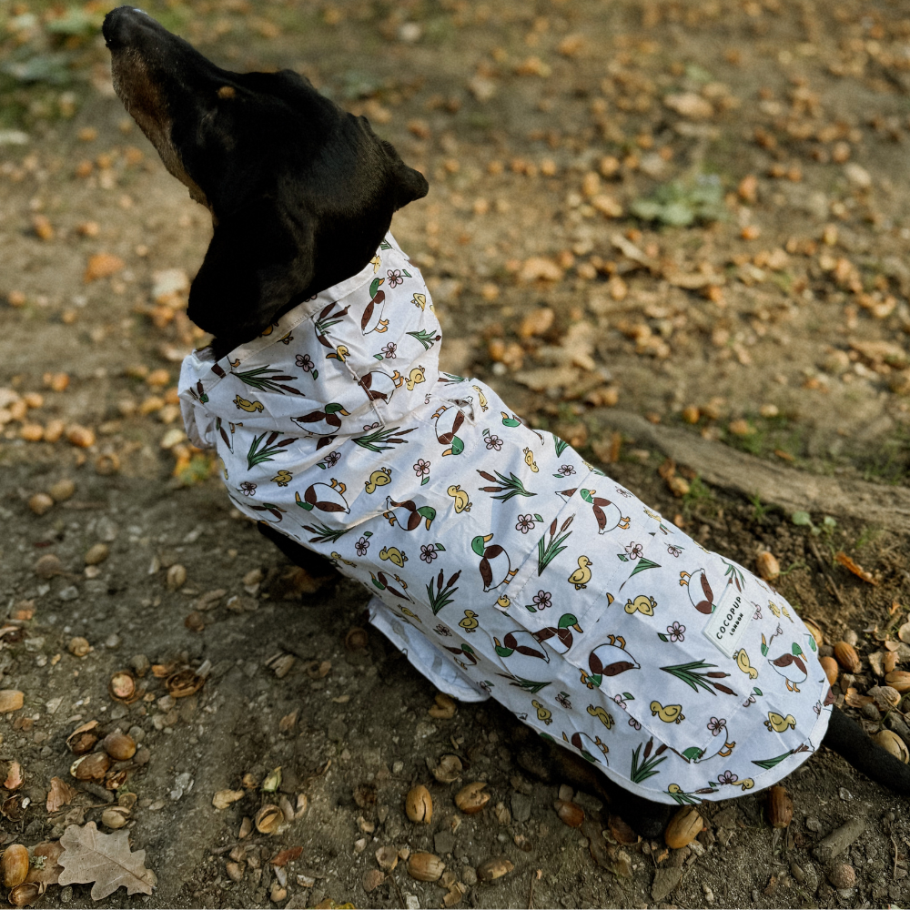 Cocopup London - Dog Raincoat - Puddle Pup
