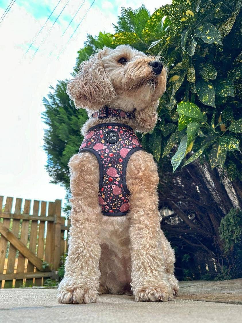 Pet Pooch Boutique - Woodland Hedgehog Puppy Dog Harness - XS - L -autumn/animals