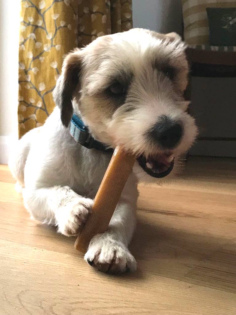 Real Pet Supplies - K2 Yak Chews 100% Natural Longer Lasting Dog Treats Medium