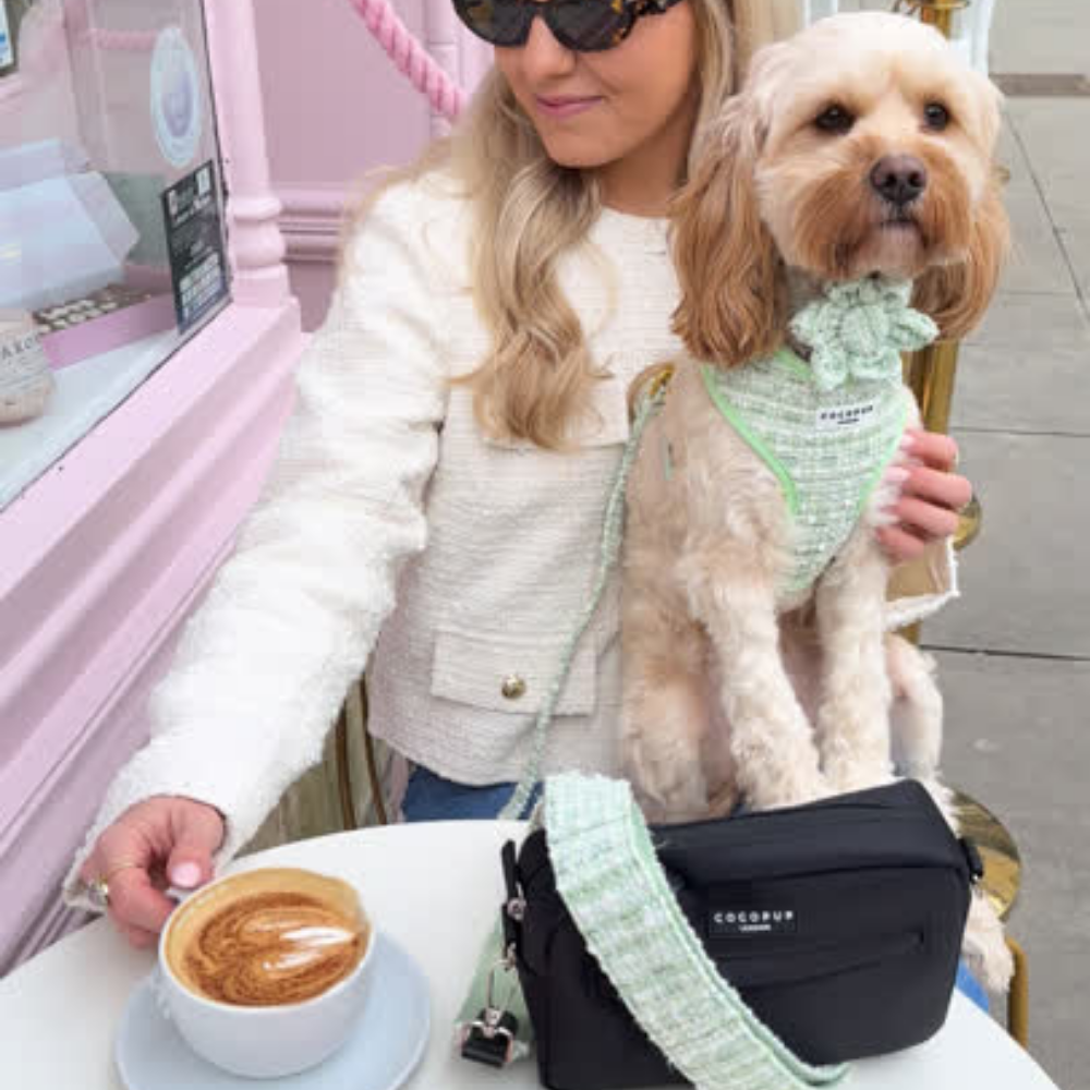 Cocopup London - Matcha Textured Tweed Collar Flower