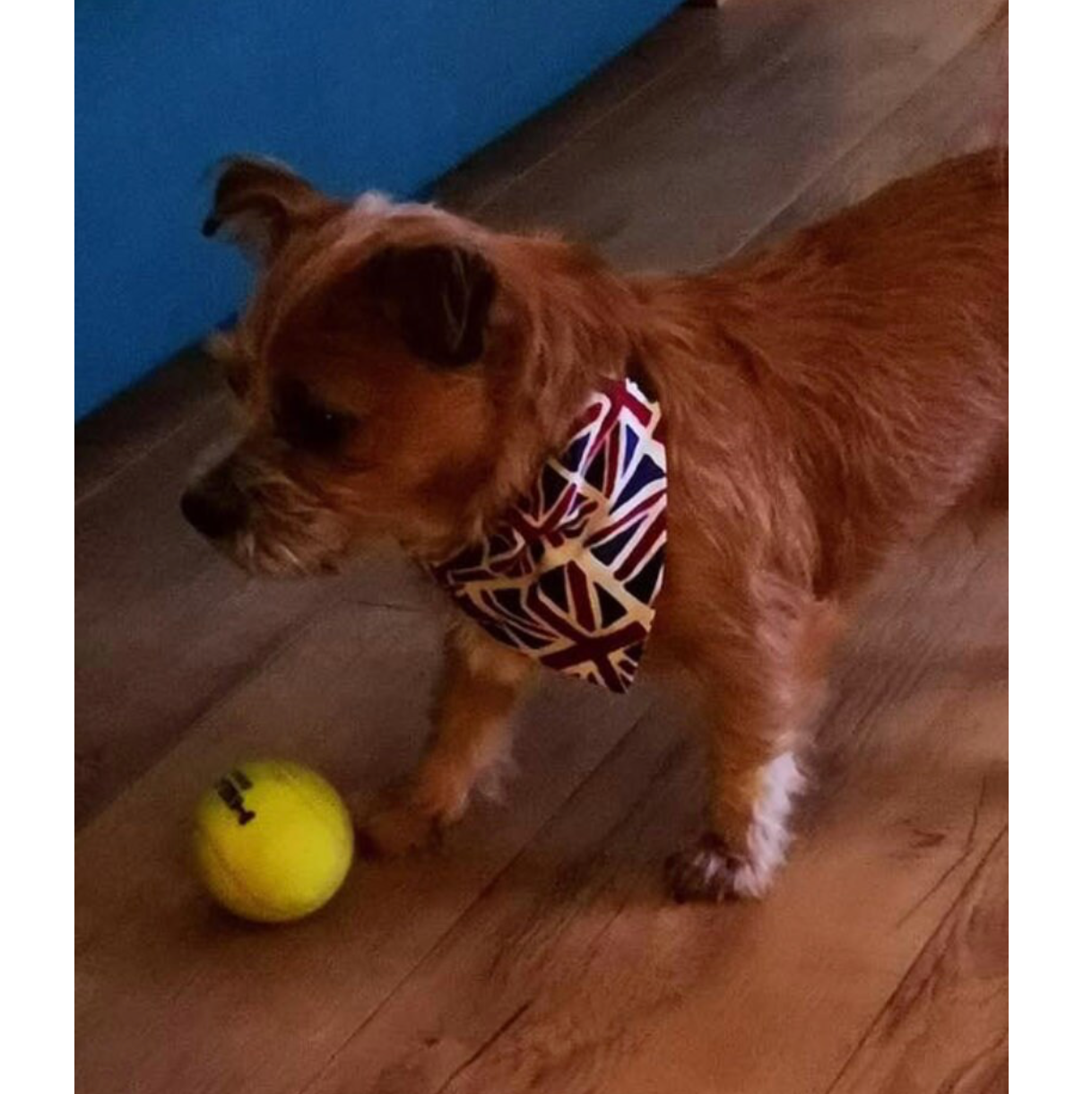 Storms Style - Union Flag Bandanas