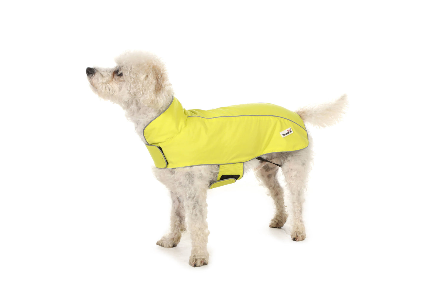 Mac in a Pack Dog Raincoat