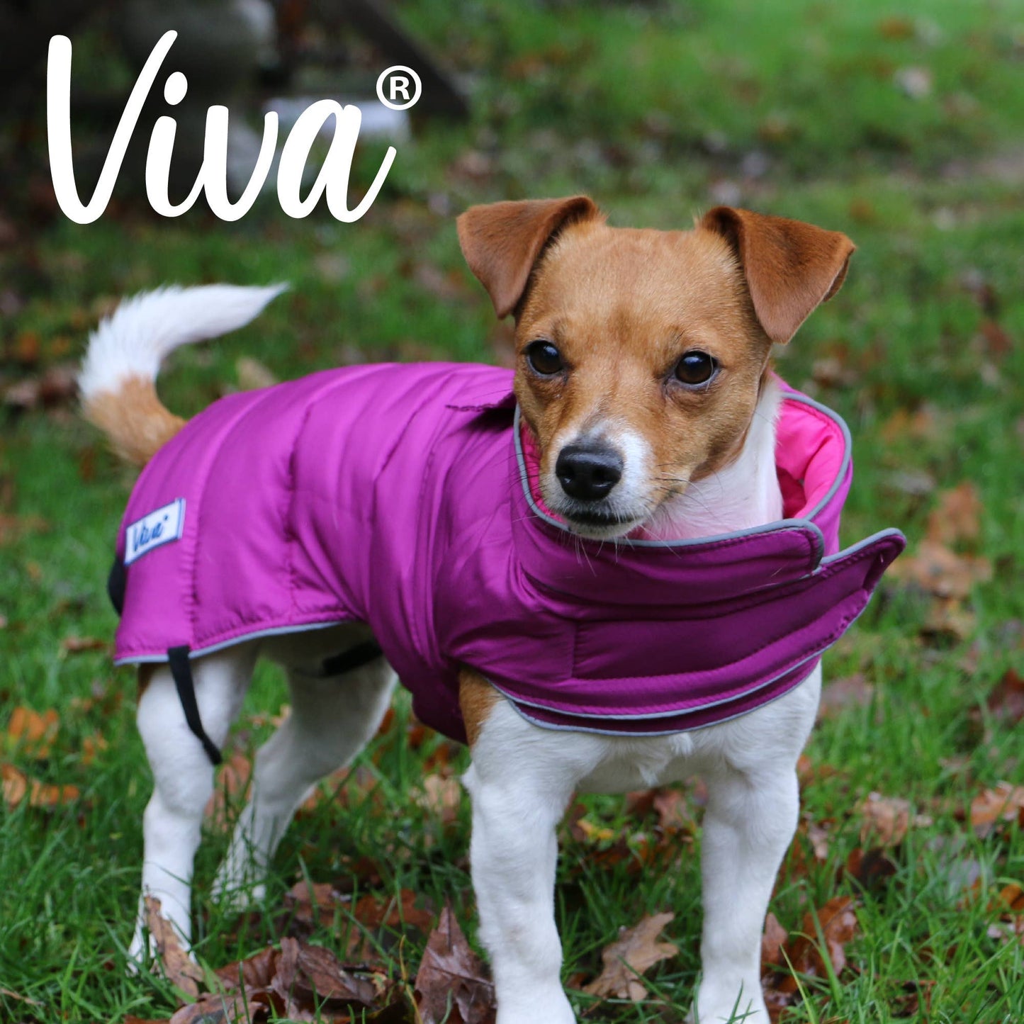 Ancol Pet Products Ltd - Viva Reversible Dog Coat Pink/Purple
