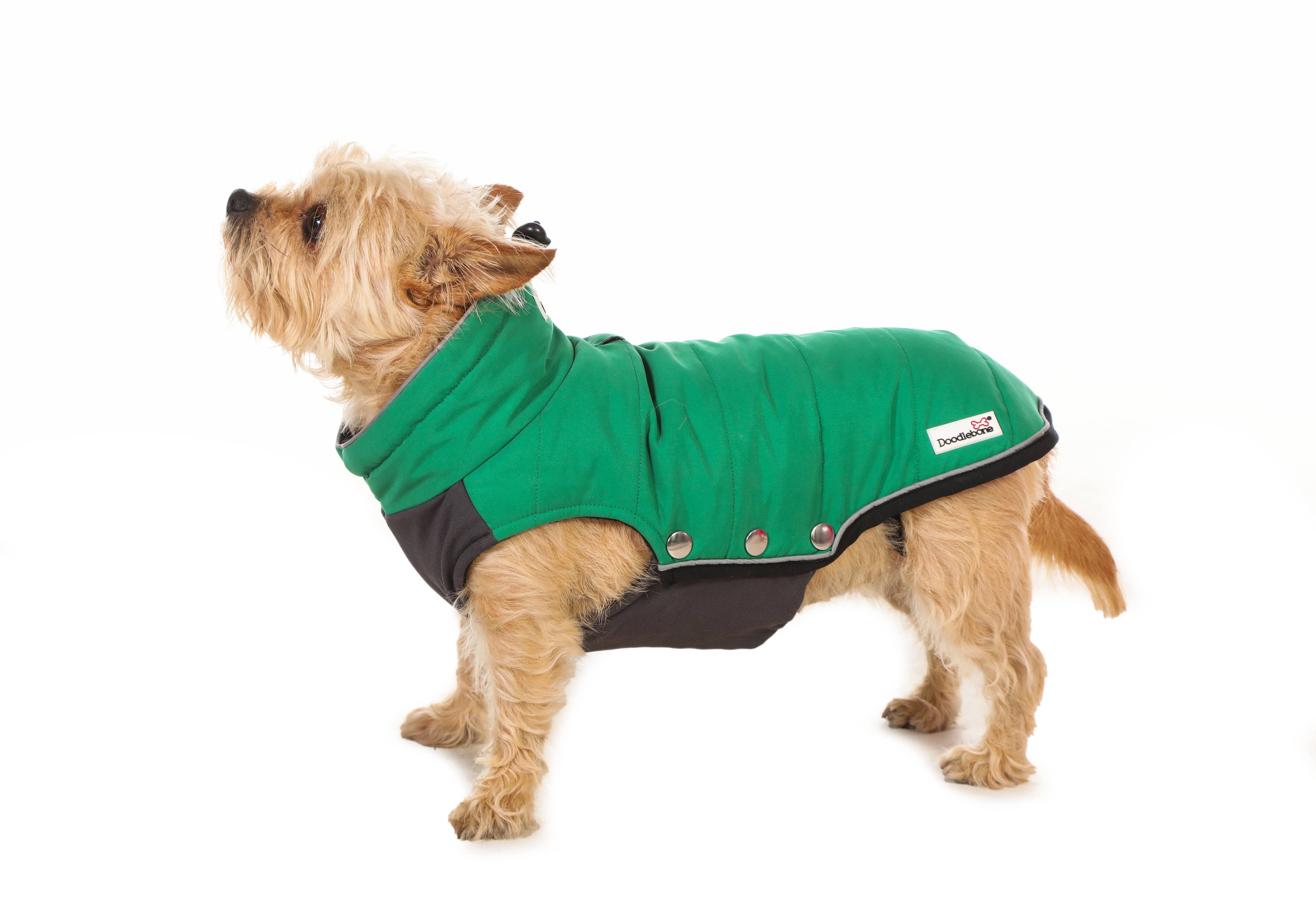 Doodlebone - Dog Puffer Jackets