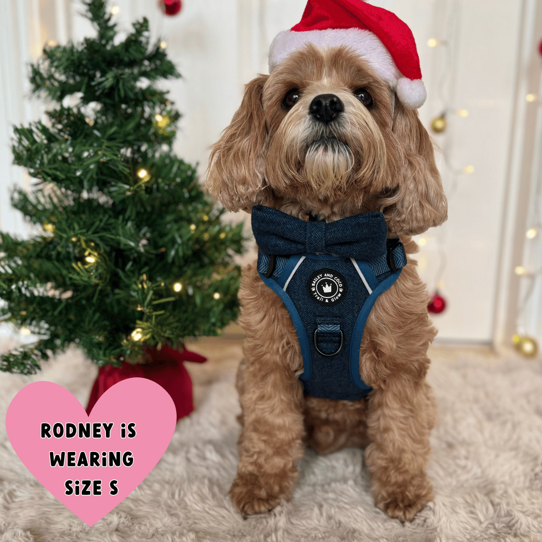 Bailey and Coco - Trail & Glow Tweed Dog Harness - Sapphire Tweed