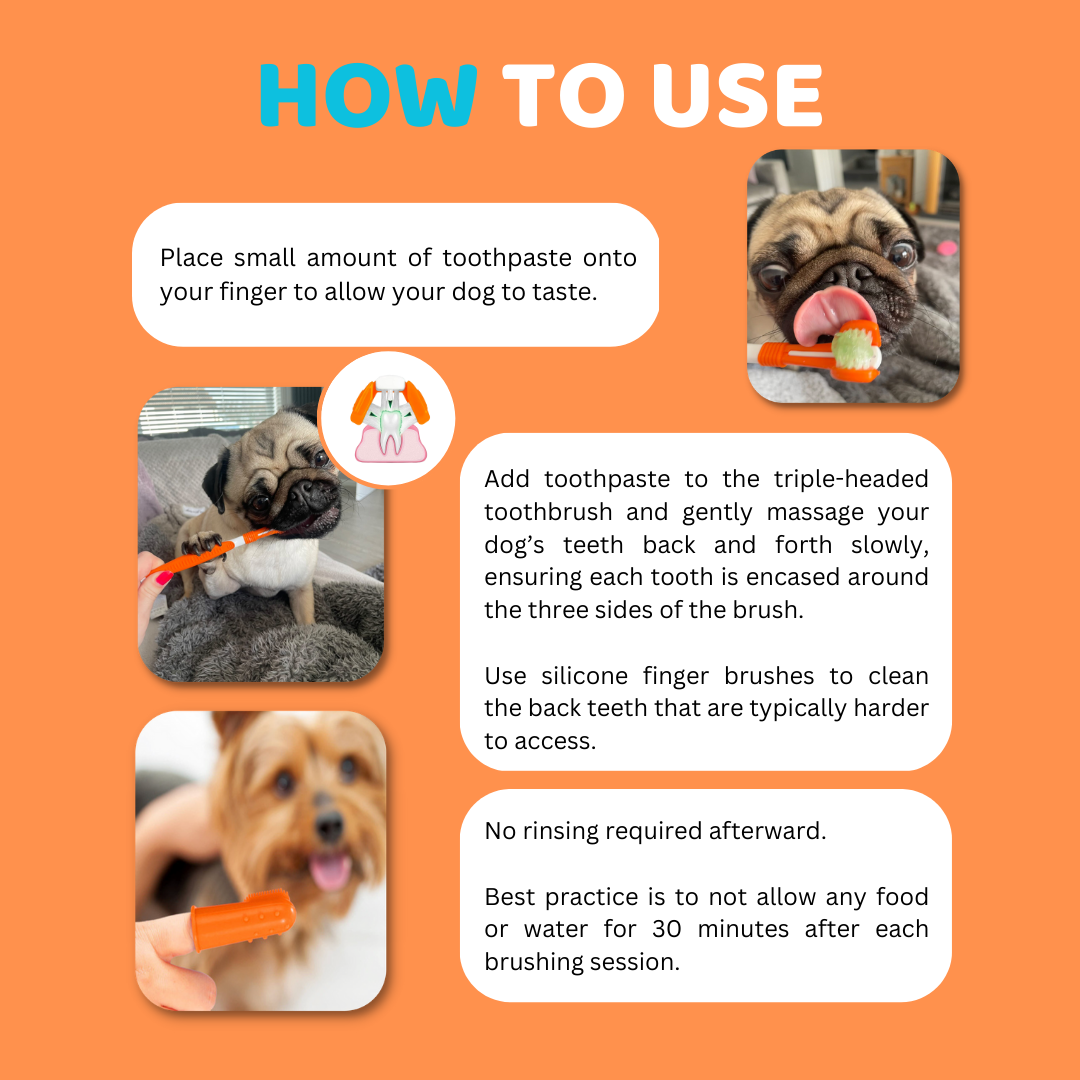 OurPetsLife - Dog Toothpaste and Toothbrush Set