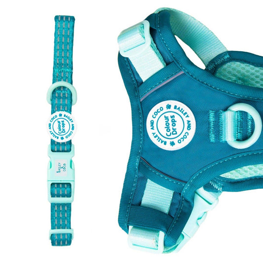 Bailey and Coco - Trail & Glow® Adjustable Collar - COLOUR DROPS® - Ice Teal