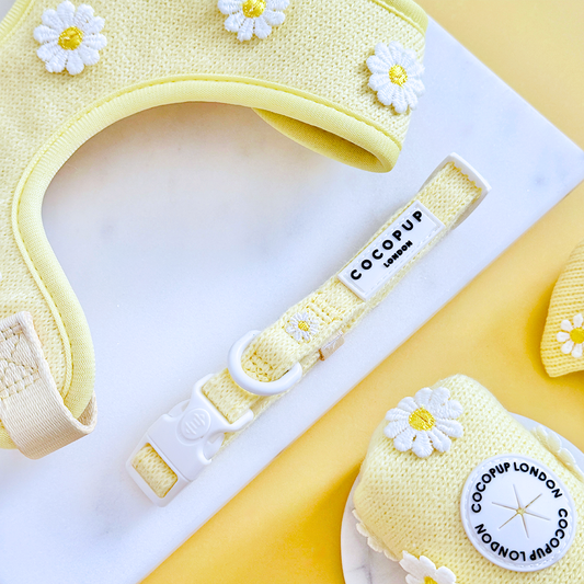 Cocopup London - Buttercup Pup COLLAR