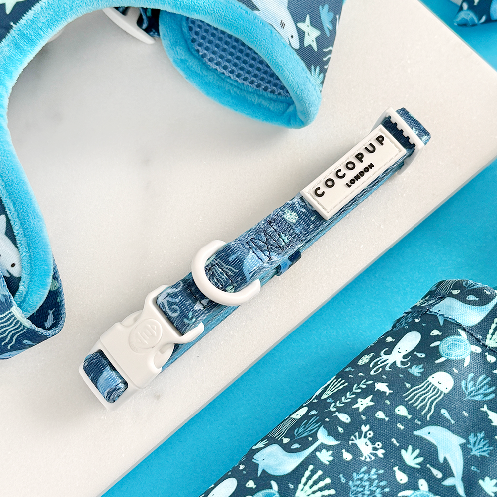 Cocopup London - Sea Life Pawty COLLAR