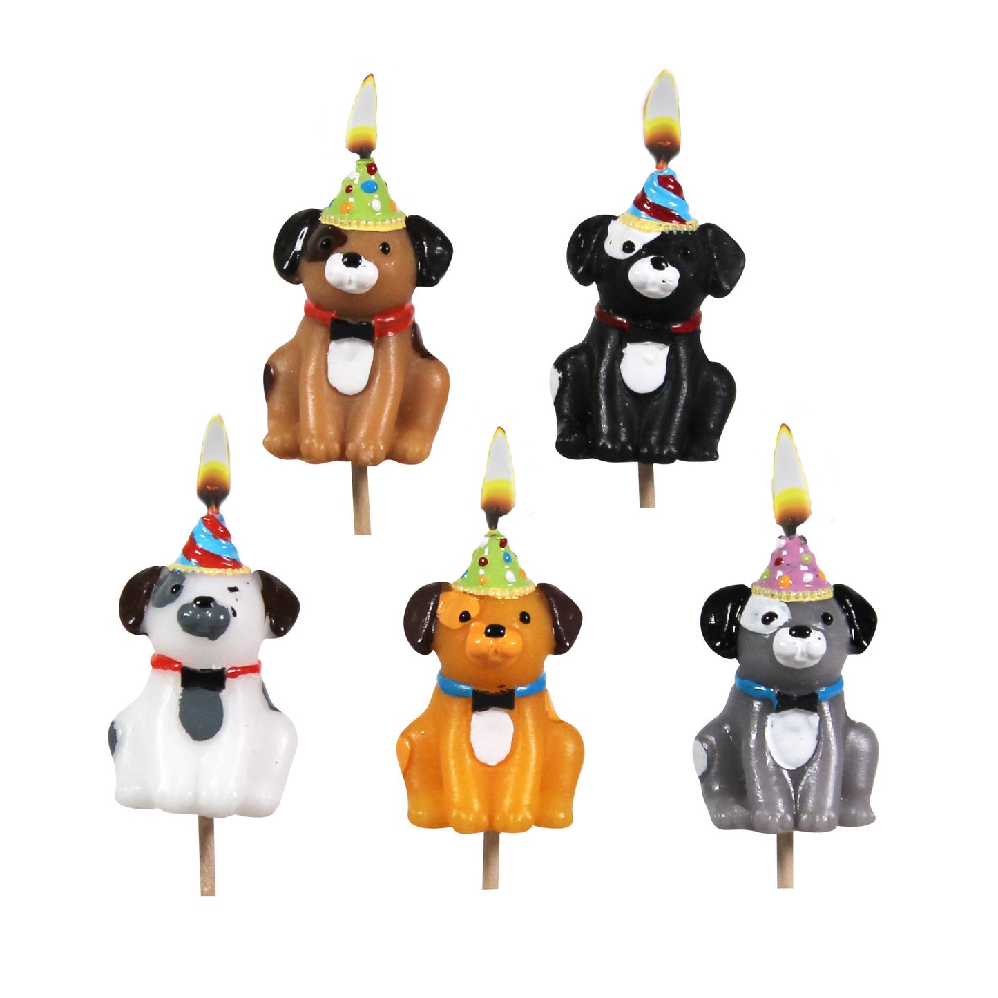 Dogs in Party Hats