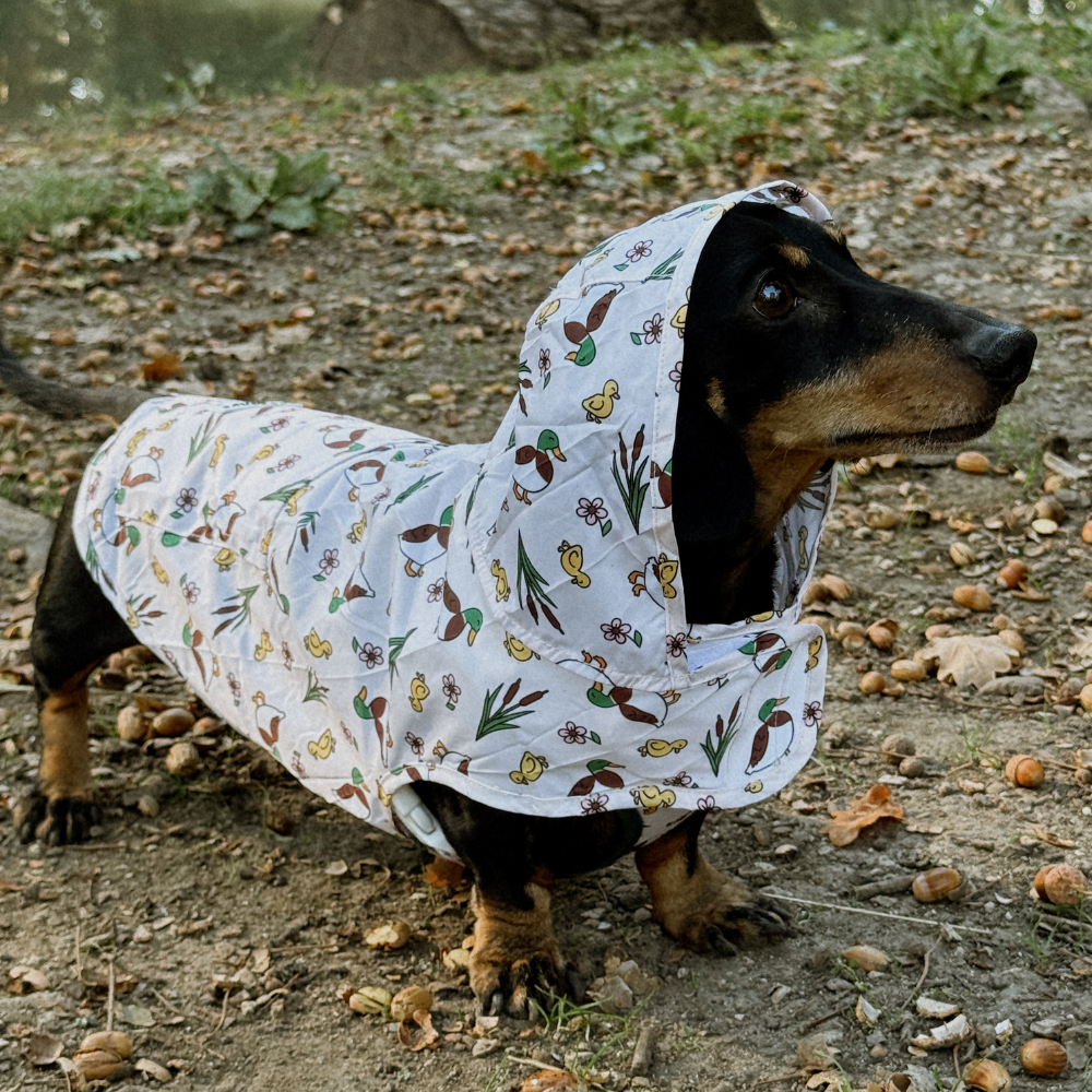 Cocopup London - Dog Raincoat - Puddle Pup