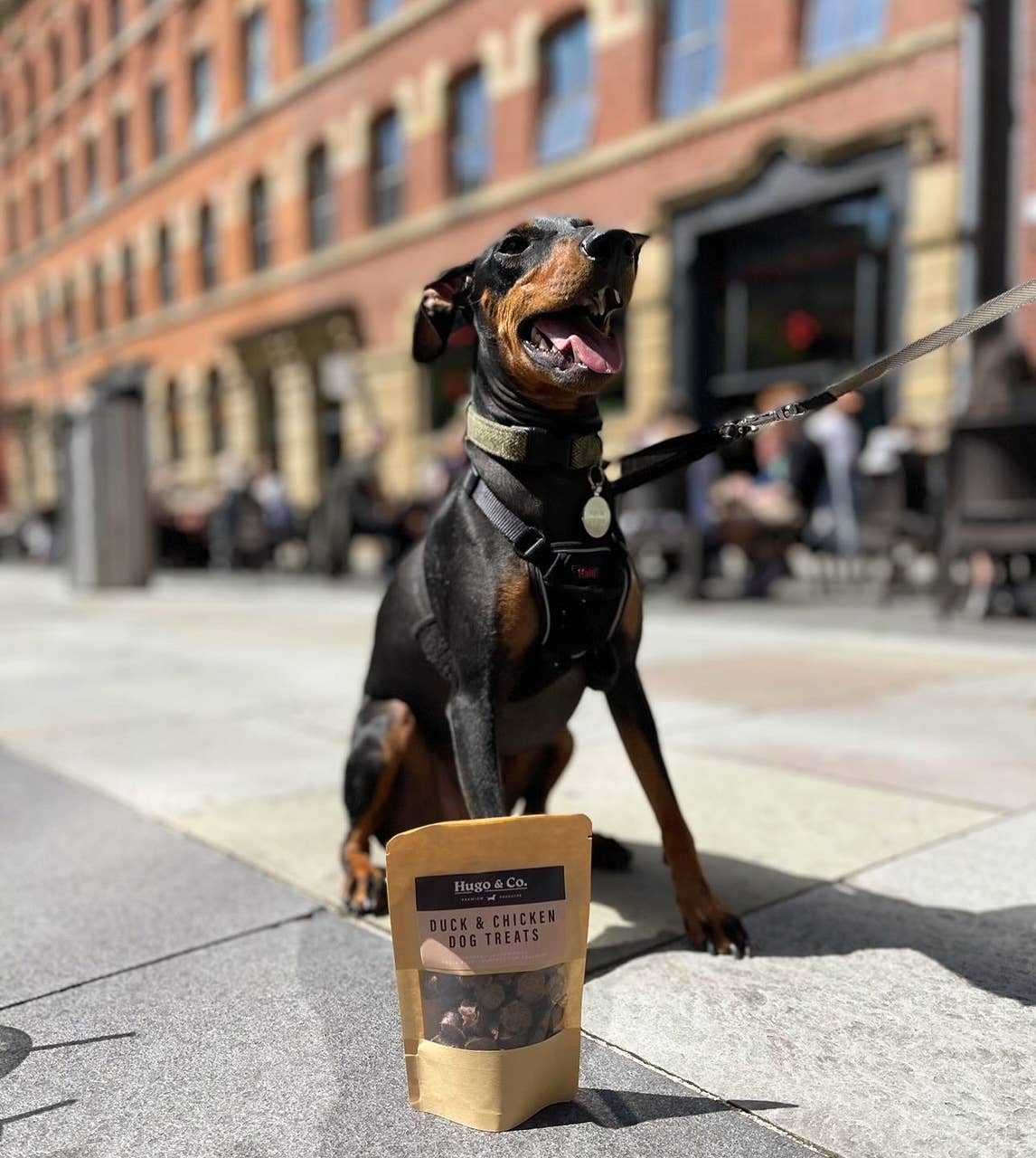 Hugo & Co Dog Treats - Duck & Chicken Dog Treats