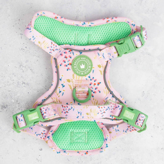 Bailey and Coco - Trail & Glow Dog Harness - COLOUR DROPS® - Pick Me
