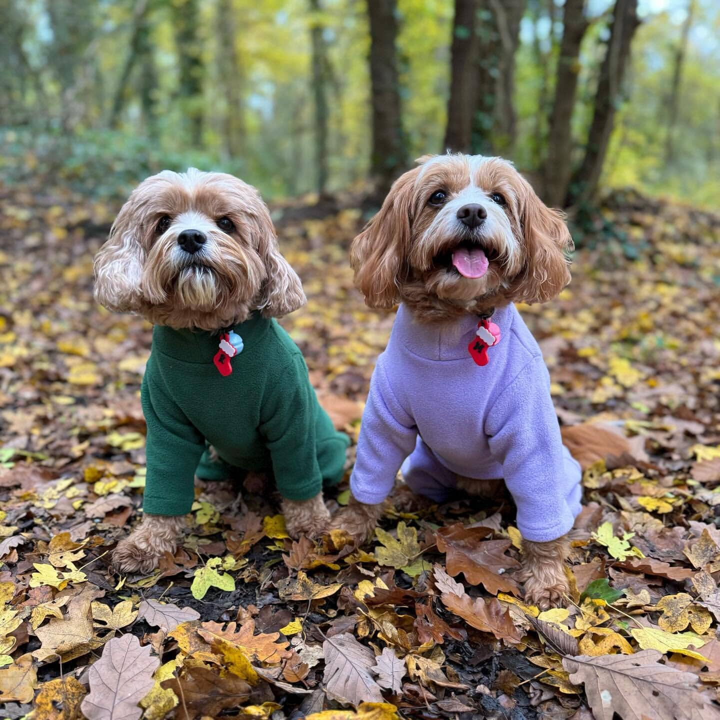 Pet Wiz - Four Legged Dog Fleeces - Wide Range of Sizes & Colours