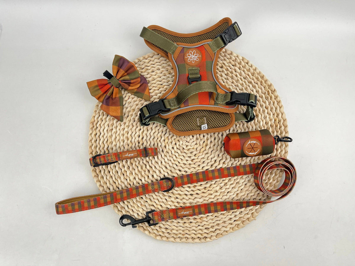 Oh, paw-lease! - Burham Weave Rambler Bow