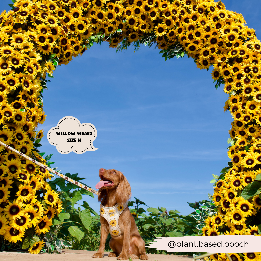 Cocopup London - Sunflower Patch Adjustable Neck Harness