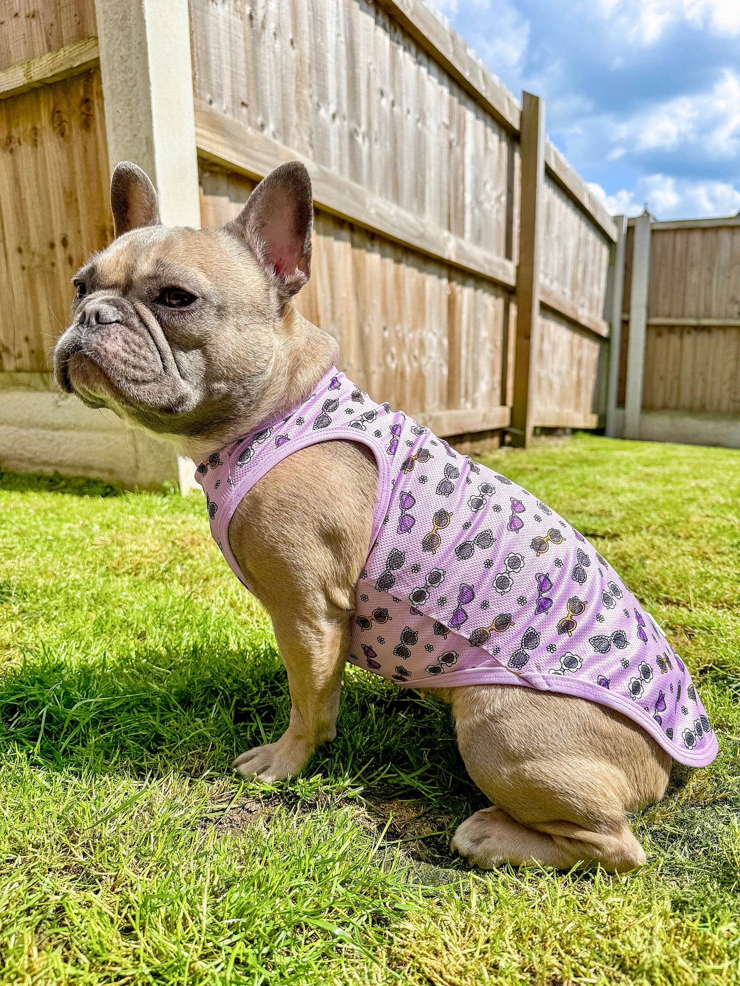 The Paw Print Boutique - The Sassy Sunnies Cooling Vest