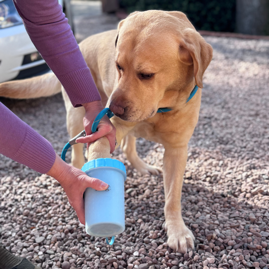 Henry Wag - Henry Wag Pet Paw Cleaner