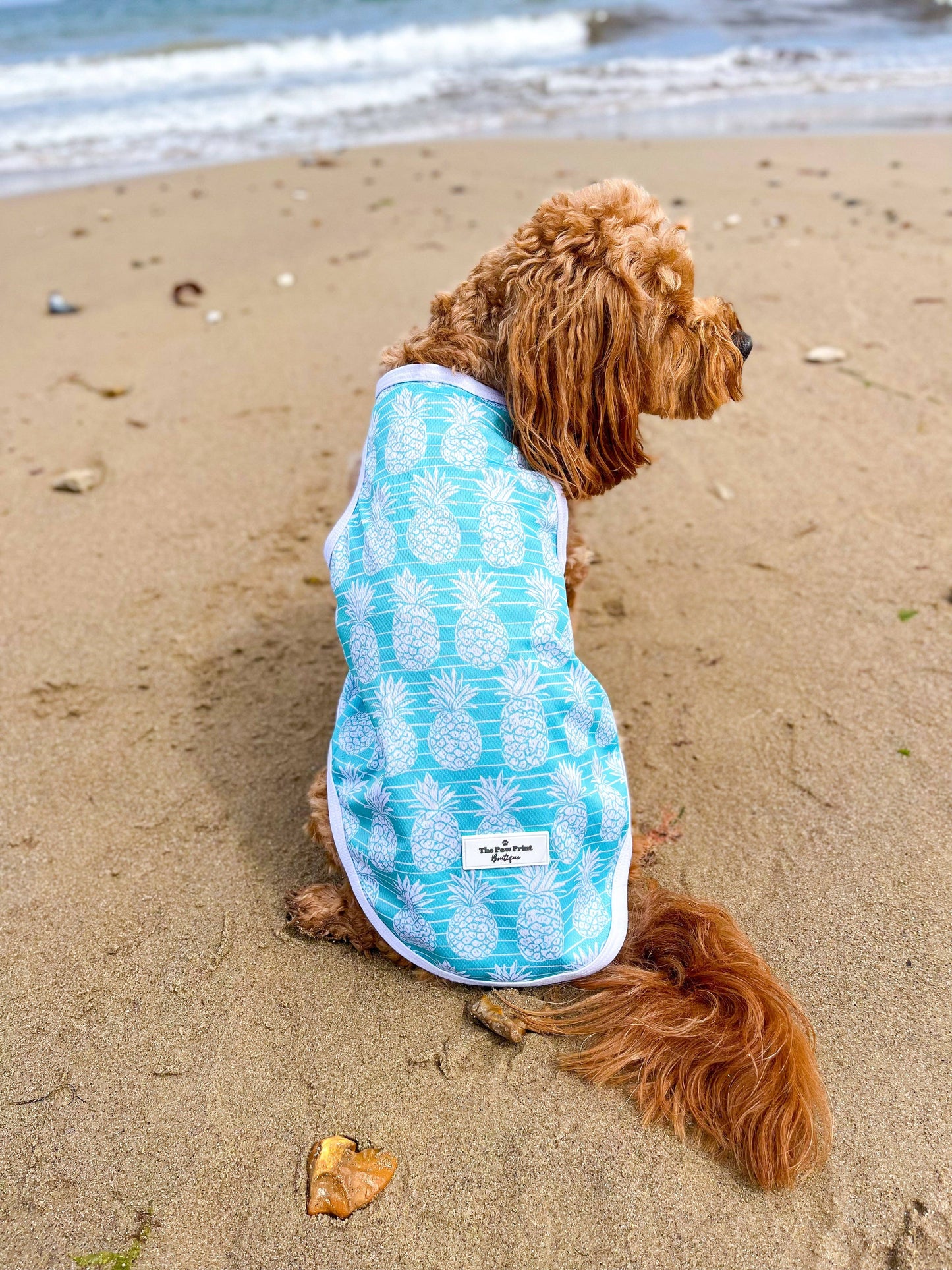 The Paw Print Boutique - The Pineapple Pawty Cooling Vest