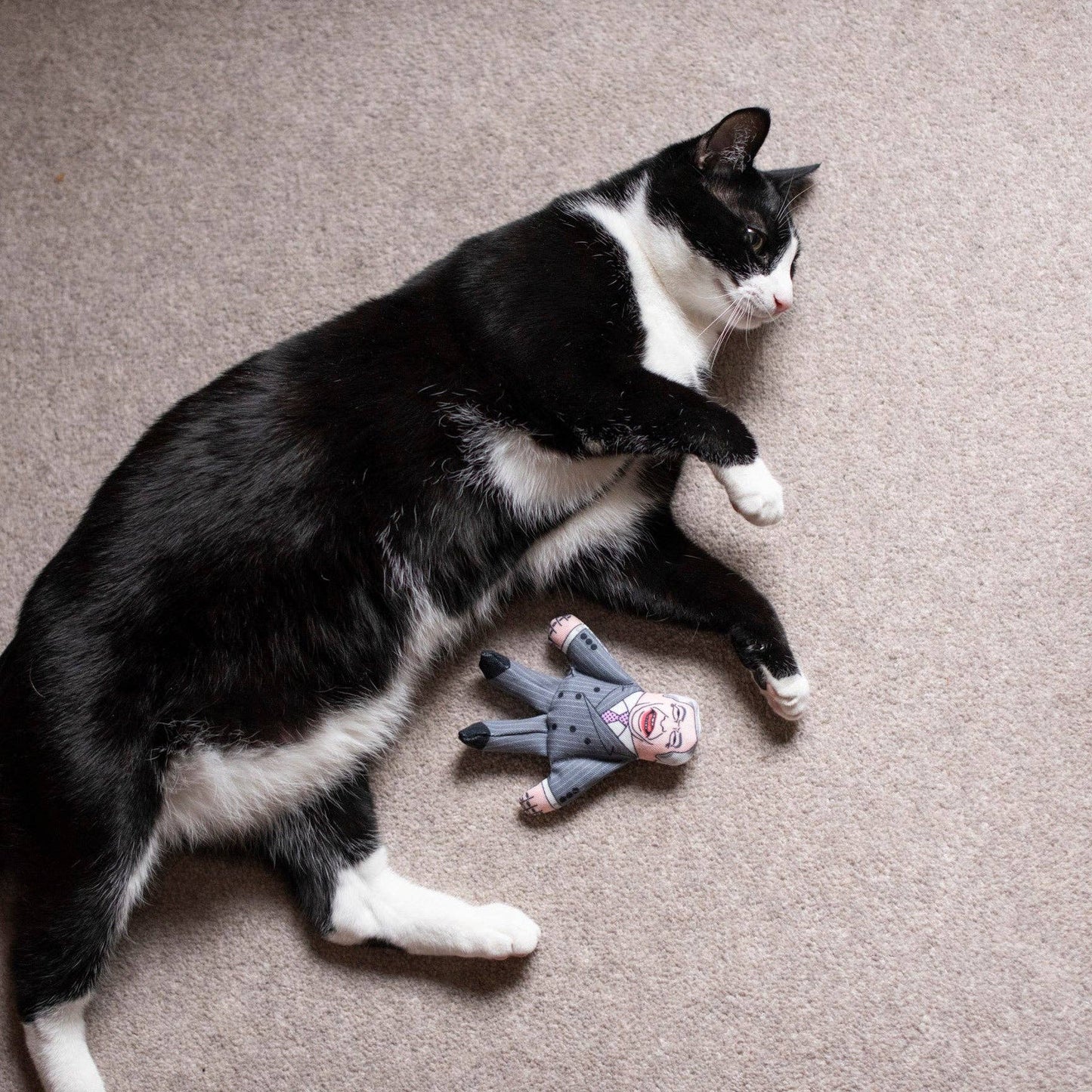 Pet Hates Toys - Nigel Farage cat toy