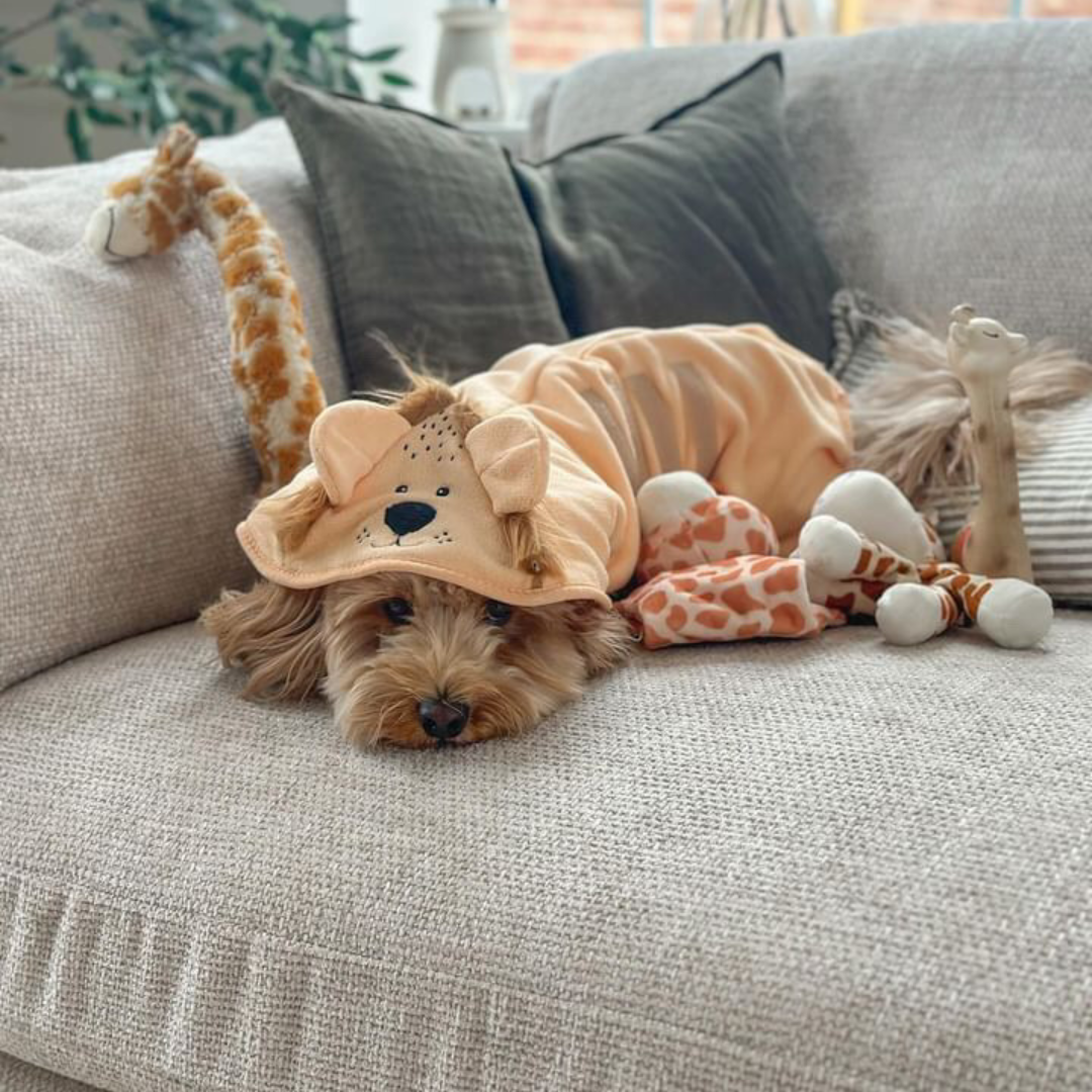Cocopup London - Roary the Lion Drying Robe