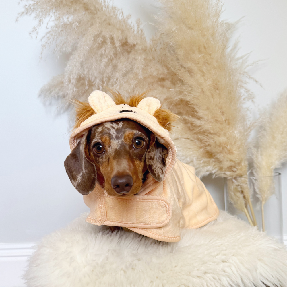 Cocopup London - Roary the Lion Drying Robe