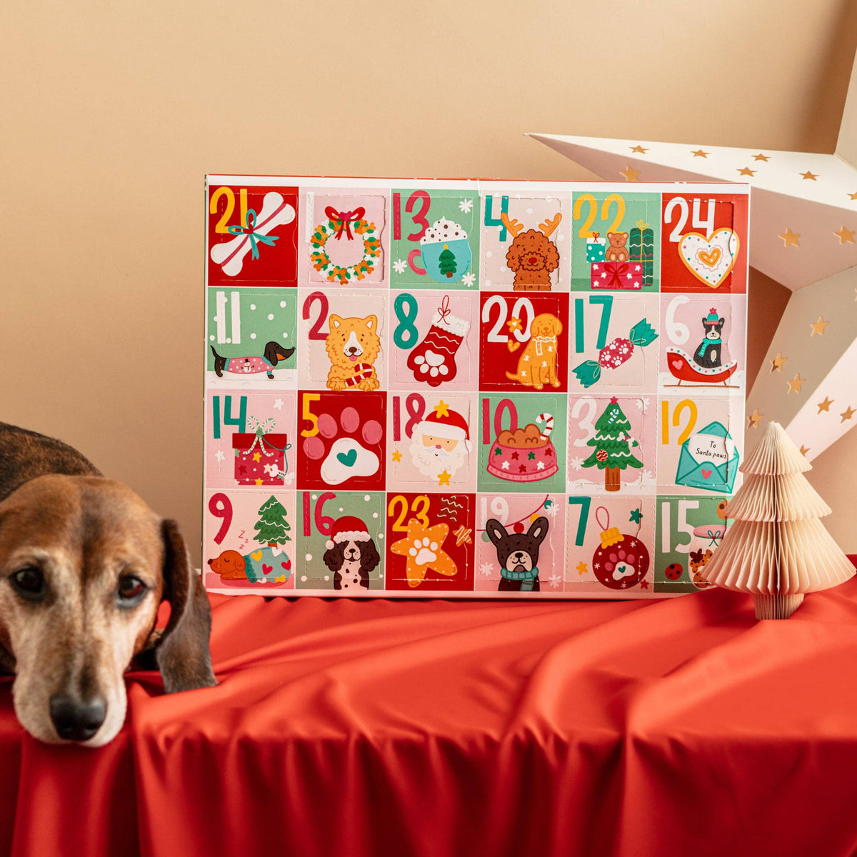 Fluff & Crumble - Christmas Advent Calendar for Dogs