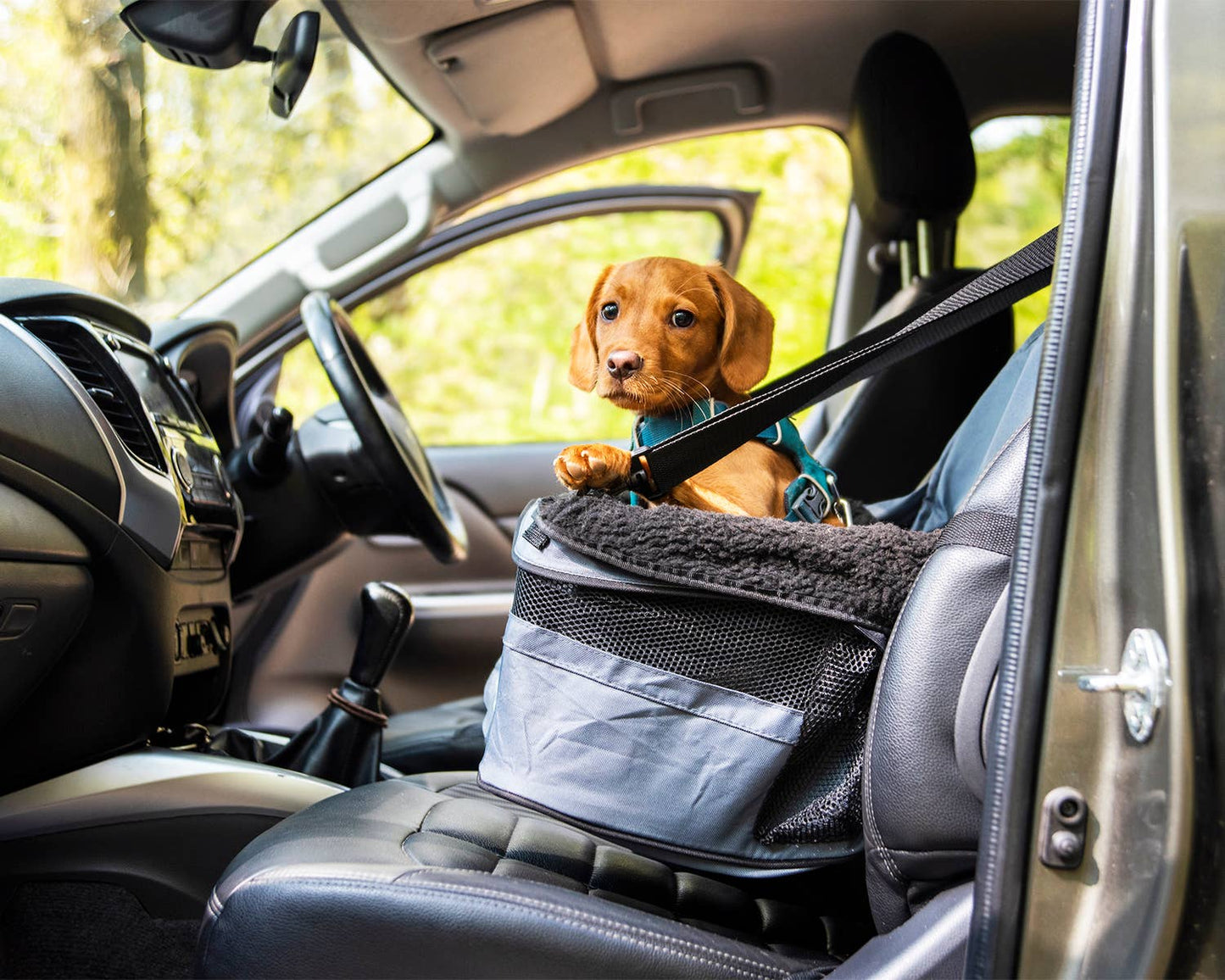 Henry Wag - Henry Wag Pet Car Booster Seat