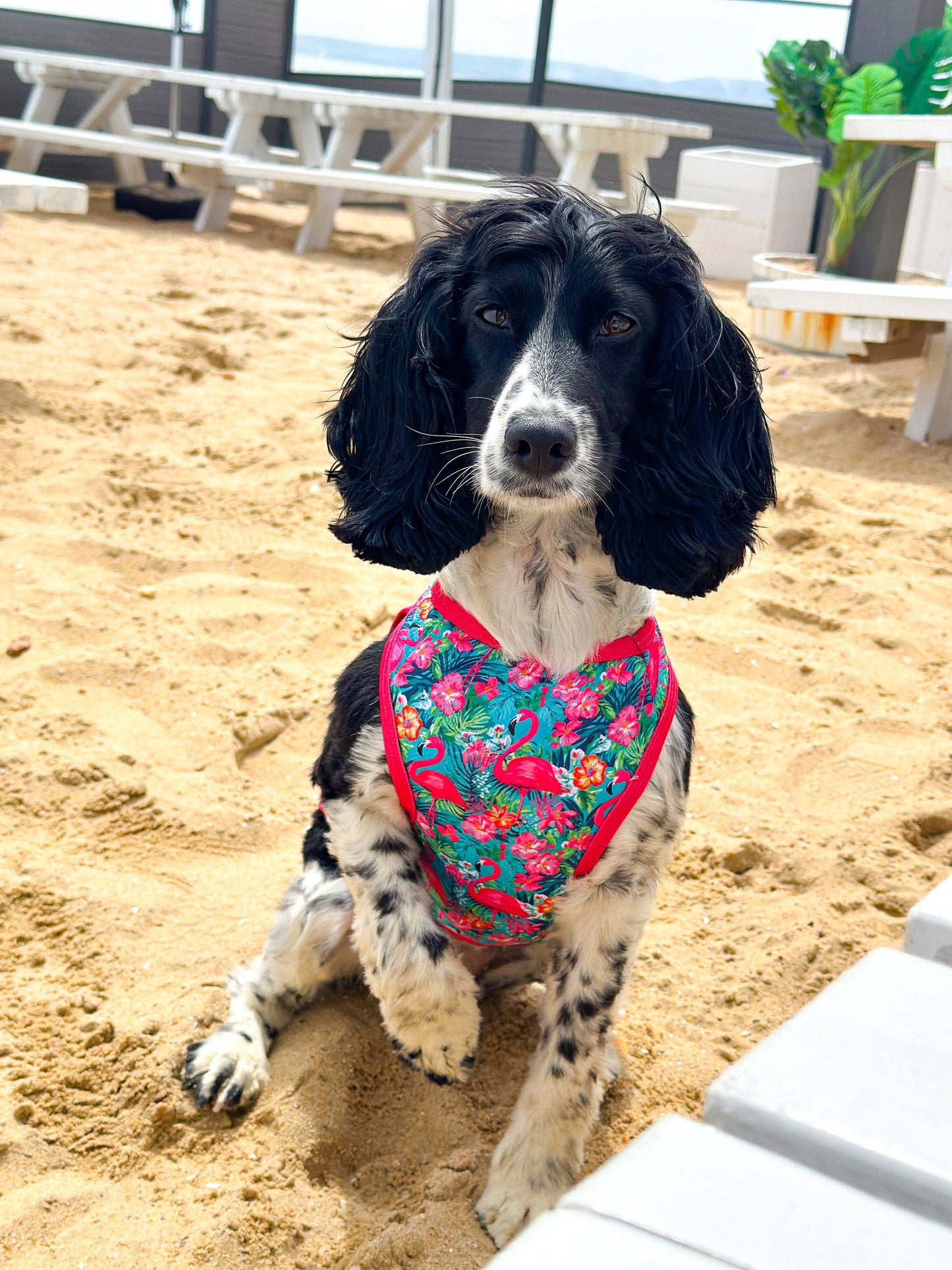 The Paw Print Boutique - The Tropical Pawradise Cooling Vest