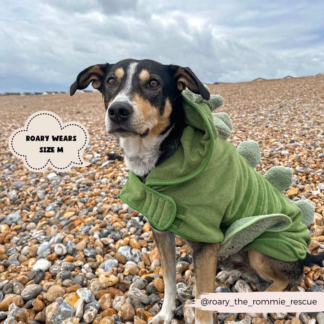 Cocopup London - Dinopup Drying Robe
