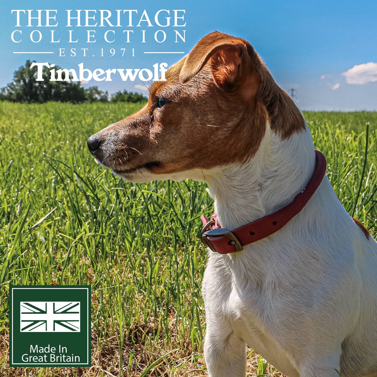 Ancol Pet Products Ltd - Timberwolf Round Collar