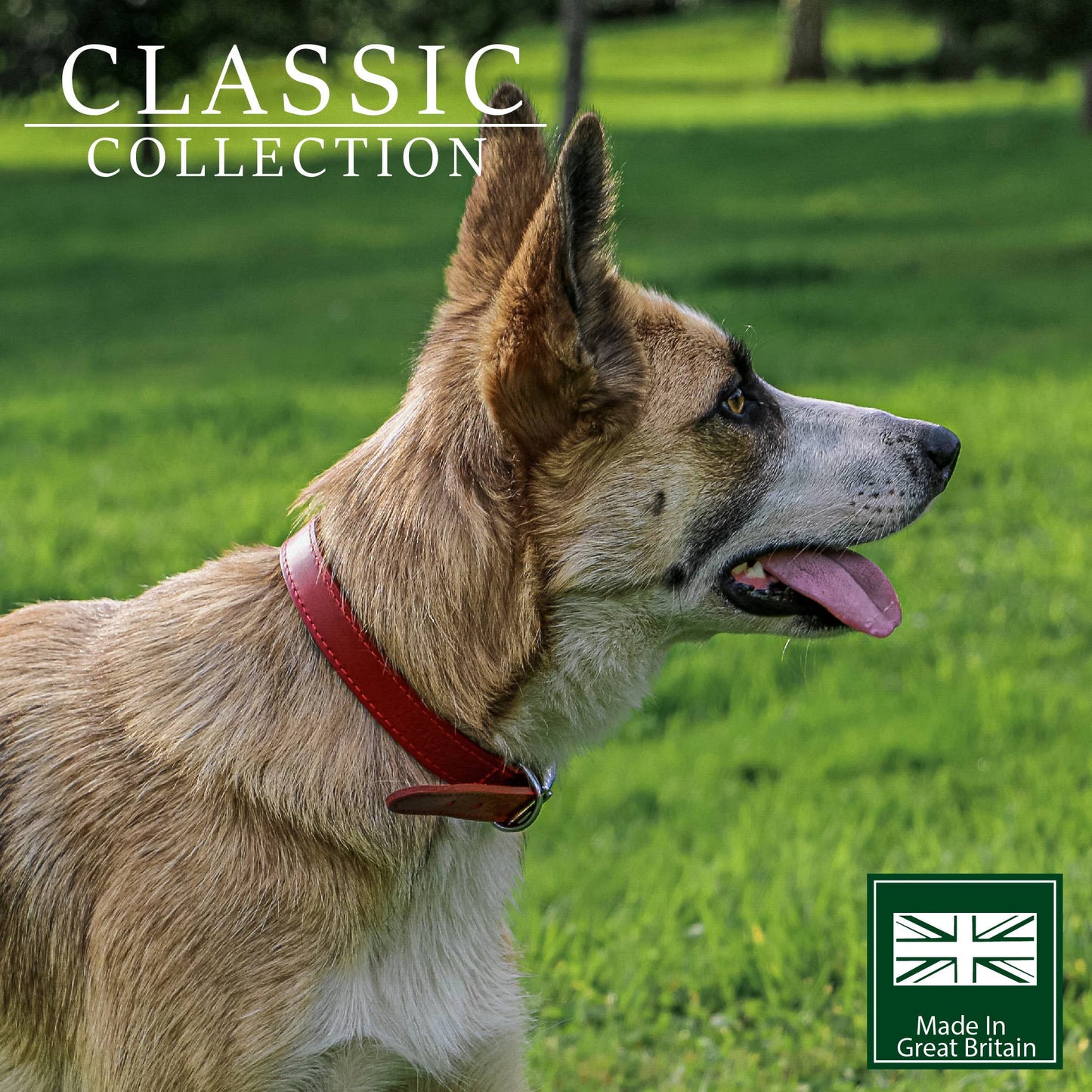 Ancol Pet Products Ltd - Heritage Collection Leather Collar Red
