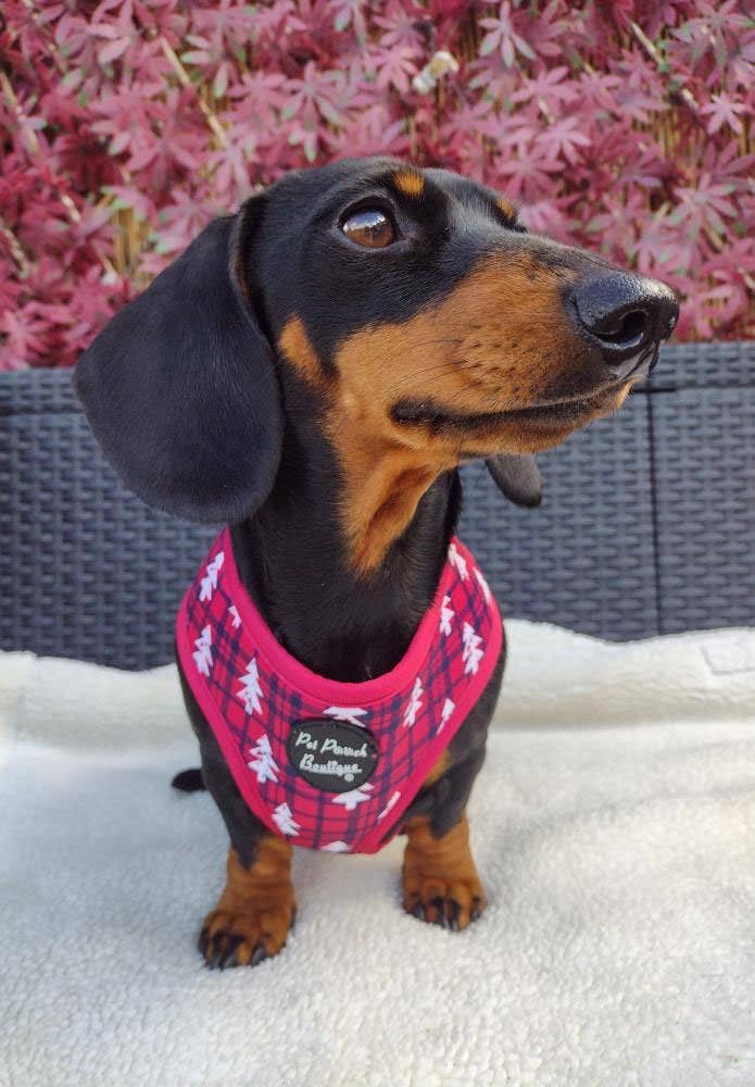 Pet Pooch Boutique - Winter Wonderland Plaid Christmas Puppy Dog Harness - XS - L