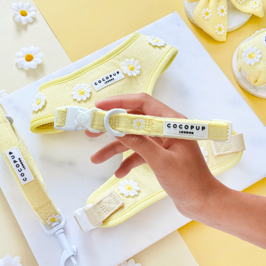 Cocopup London - Buttercup Pup COLLAR
