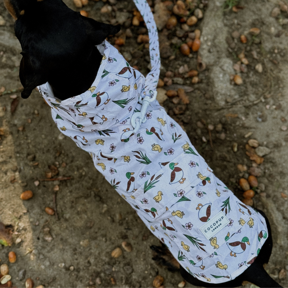 Cocopup London - Dog Raincoat - Puddle Pup