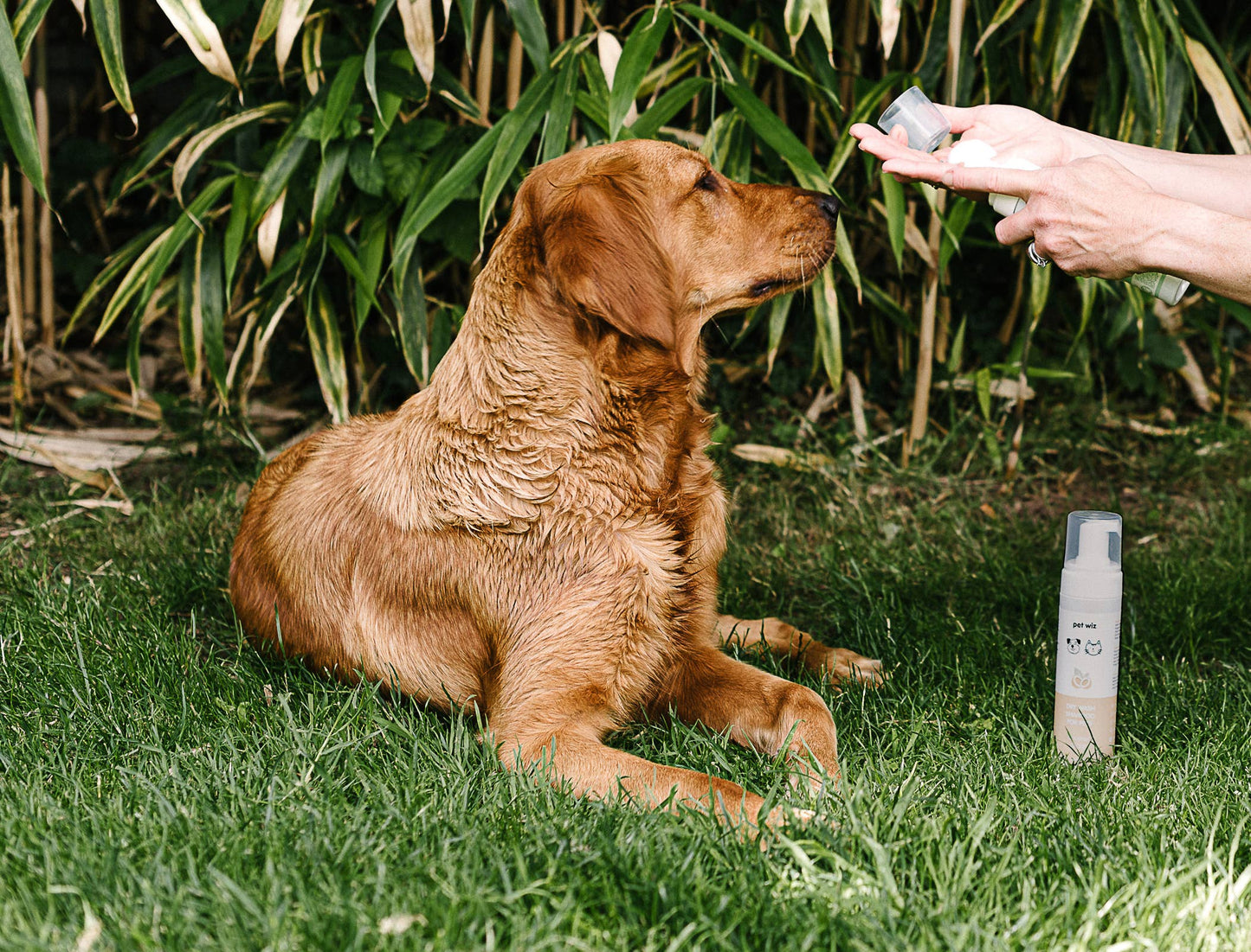 Pet Wiz - Dry Wash Shampoo for Pets – Soothing & Deodorising