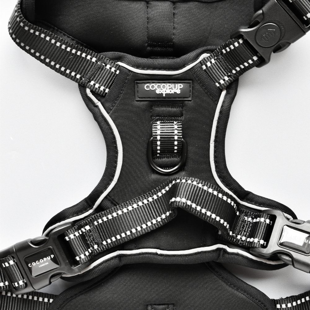 Cocopup London - Explore Harness - NAKD Liquorice