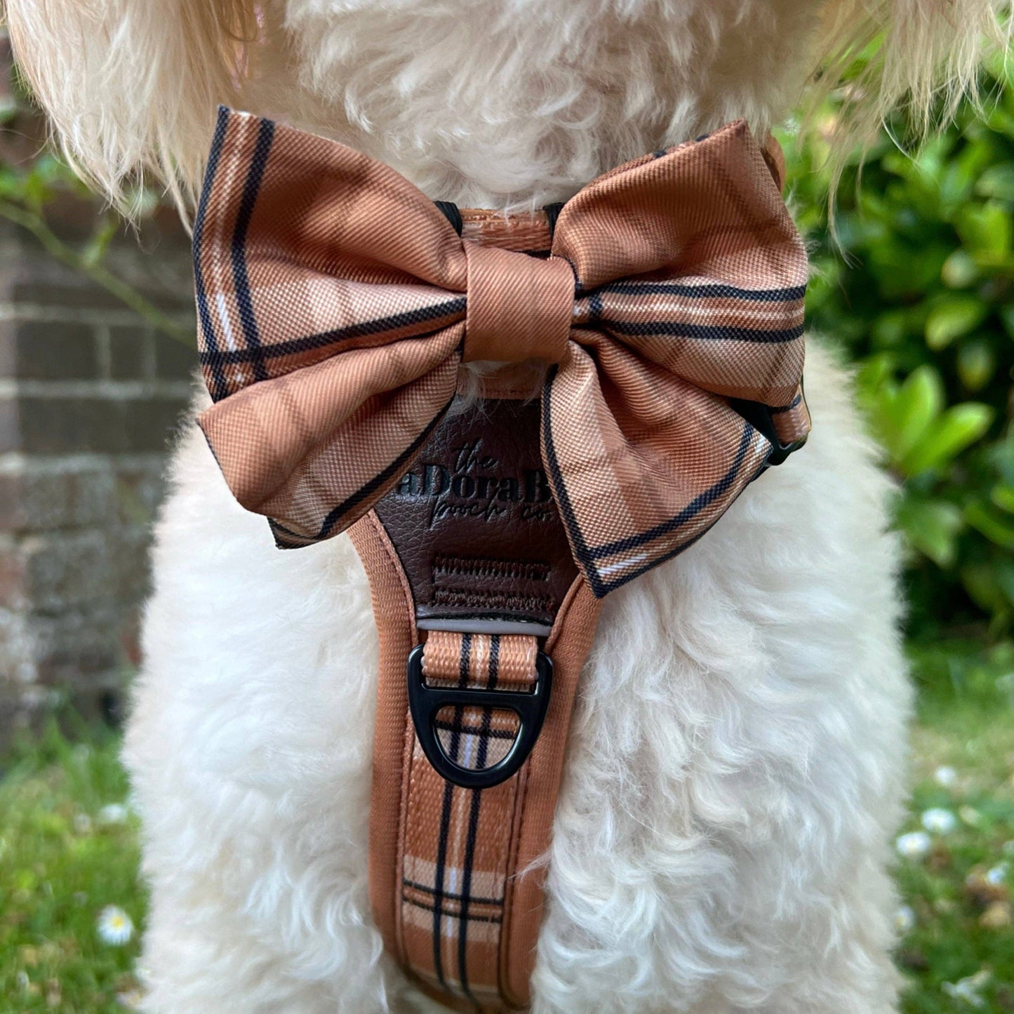 The aDoraBle Pooch Company - Dog Sailor Bow Tie - Heritage Butterscotch Biscuit