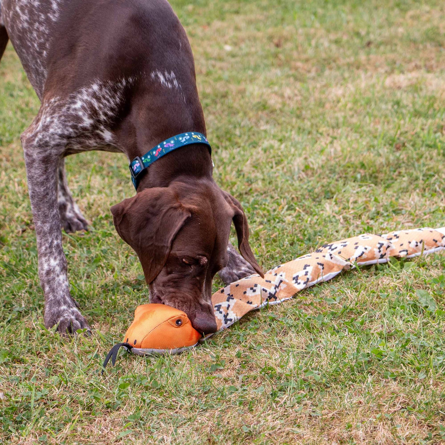 Ancol Pet Products Ltd - Playtime For Dogs Tough Durable Canvas  Super Snake