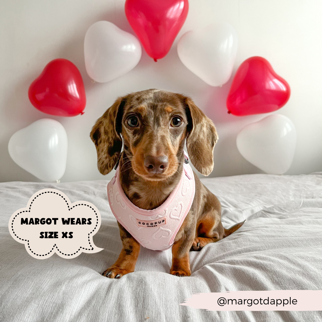 Cocopup London - Luxe Adjustable Neck Harness - Baby Pink Heart