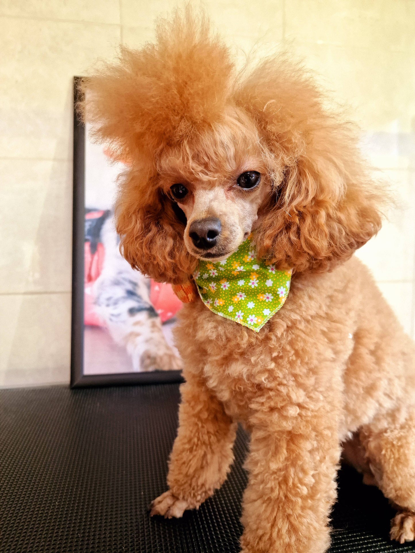 Pet Pooch Boutique - Golden Green Daisy Floral Dog Bandana (Flower) - Handmade