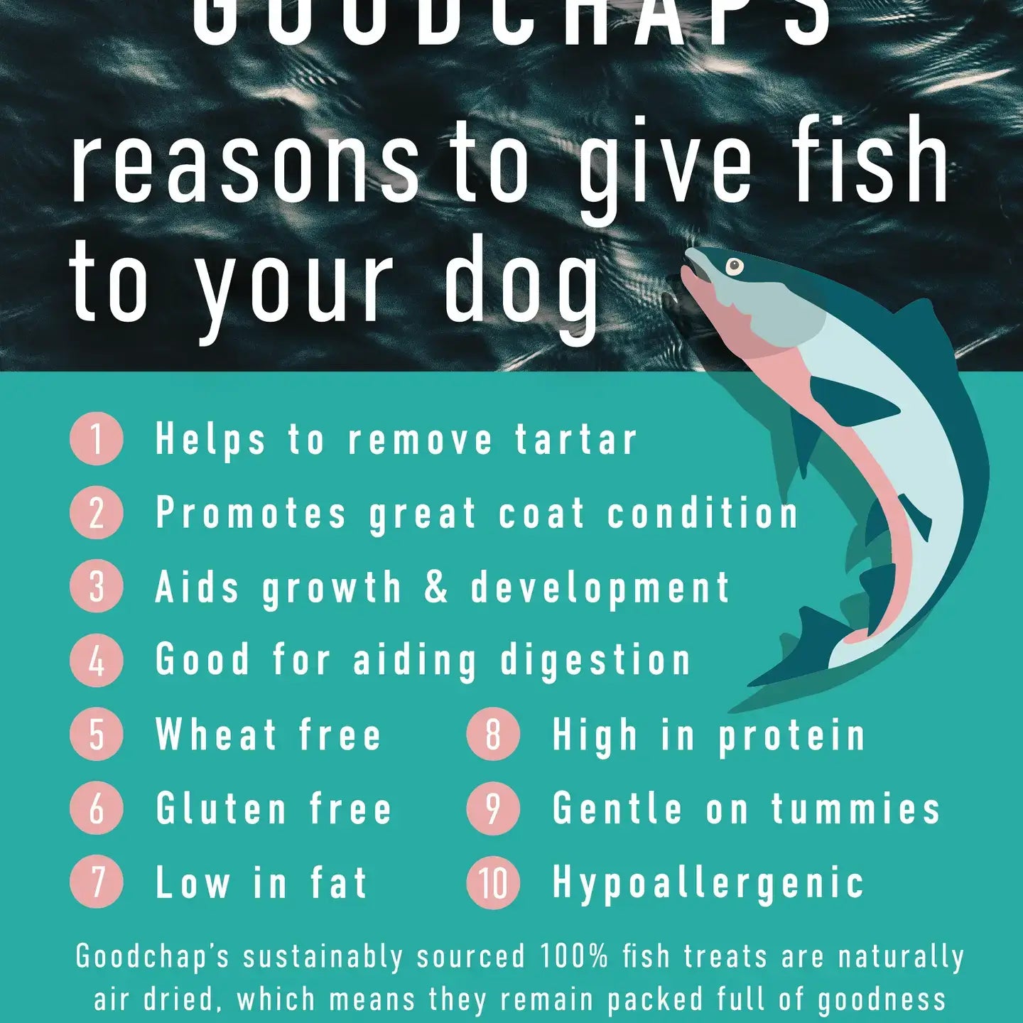 Lil' Scamp's Fish Bites